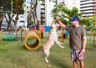 Prefeitura de Maceió constrói parque canino para convívio coletivo de pets