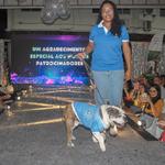 fashion-auweek-clinica-quatro-patas-2022_0071