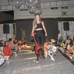 fashion-auweek-clinica-quatro-patas-2022_0085