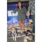 fashion-auweek-clinica-quatro-patas-2022_0105