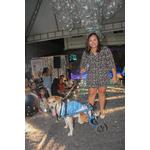 fashion-auweek-clinica-quatro-patas-2022_0108