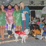 fashion-auweek-clinica-quatro-patas-2022_0129