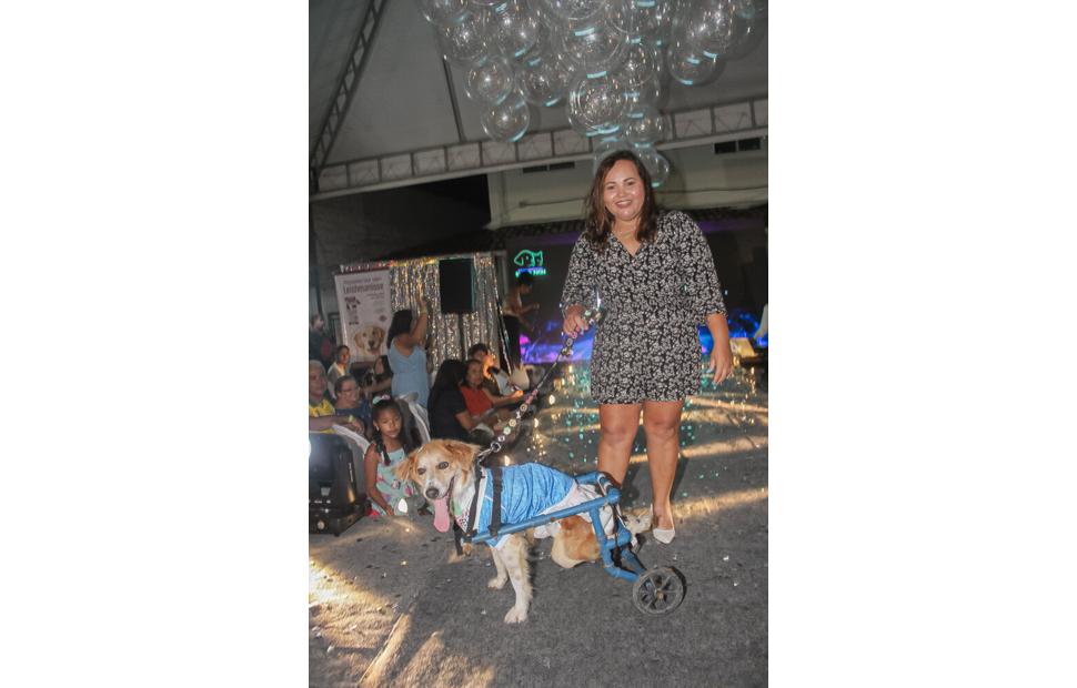 fashion-auweek-clinica-quatro-patas-2022_0108