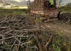 PM flagra desmatamento ilegal em reserva indígena de Delmiro Gouveia