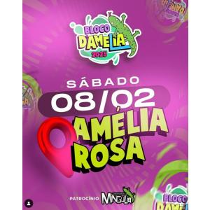 Bloco da Amélia