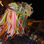 Jaraguá-Folia-2012 (608)