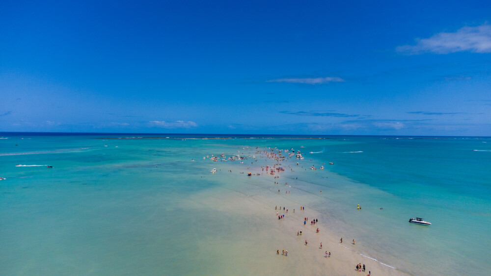 Maceió é o destino mais procurado para curtir o Carnaval 2023