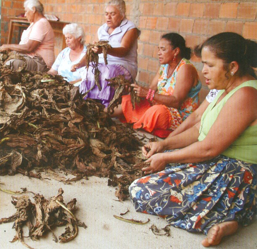 Patrimônios de Arapiraca são tema de oficina de preservação cultural